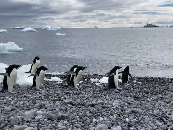 Cumbre en Chile busca destrabar propuesta de reserva marina en Antártica