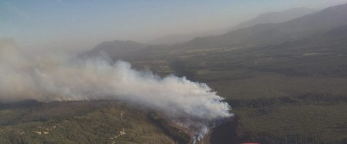 Región del Maule: decretan Alerta Roja en comunas de Molina y Río Claro por incendio forestal