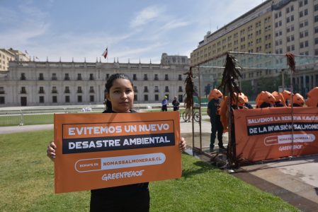 Greenpeace pide al Gobierno frenar el avance salmonero en la Reserva Nacional Kawésqar