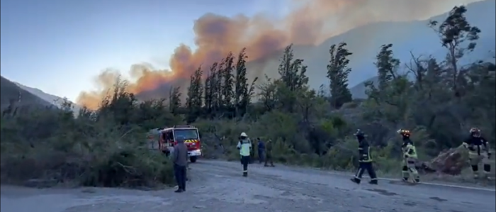 Onemi reporta siete incendios forestales activos en el país: Presidente Boric informa despliegue de equipos