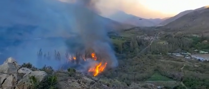 Balance Onemi: 11 incendios forestales activos en el país y casi 40 viviendas afectadas