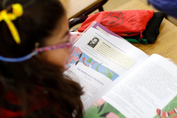 Mineduc instruye a más de 2,5 mil colegios reutilizar textos escolares para el 2023: esperan ahorrar 343 toneladas de papel