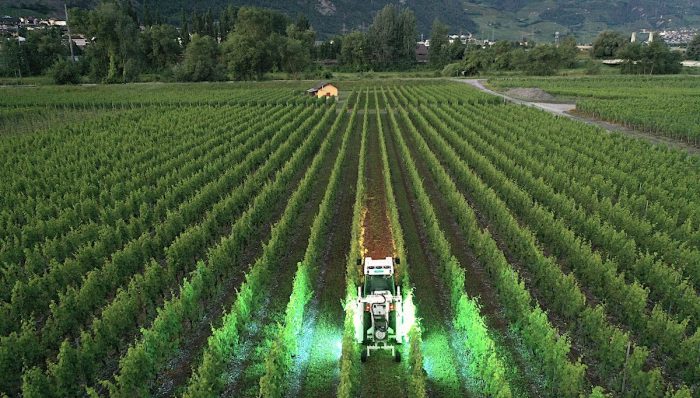 Tecnología con inteligencia artificial busca optimizar el proceso productivo de vinos y destilados chilenos
