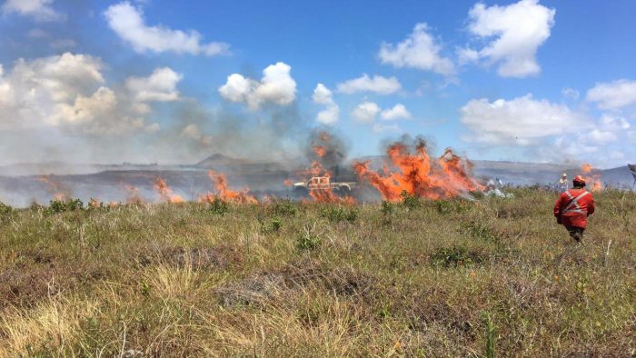 Unesco financiará diagnóstico y plan de daños de incendio en Rapa Nui