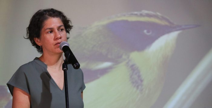 Ministra Maisa Rojas sobre COP15: «Si tomamos acciones para revertir la pérdida de biodiversidad, haremos un real aporte al combate al cambio climático»