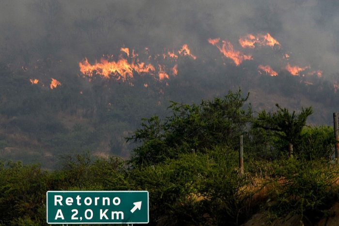 Onemi declara alerta roja en Quillota por incendio forestal que amenaza viviendas cercanas