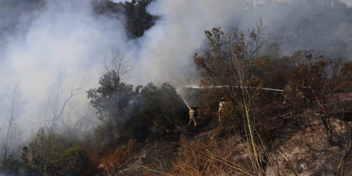 Tras decretar Alerta Roja, Onemi ordena evacuación de cuatro sectores de Melipilla por voraz incendio forestal