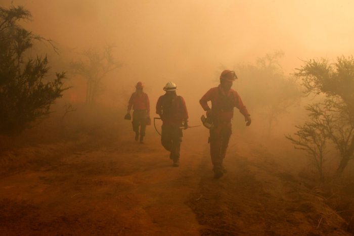 Incendio forestal en Paillaco ha consumido 250 hectáreas