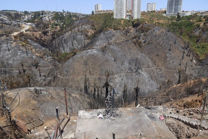 Experto en incendios forestales, Miguel Castillo: “La cantidad se ha mantenido, pero la gravedad ha ido en aumento»