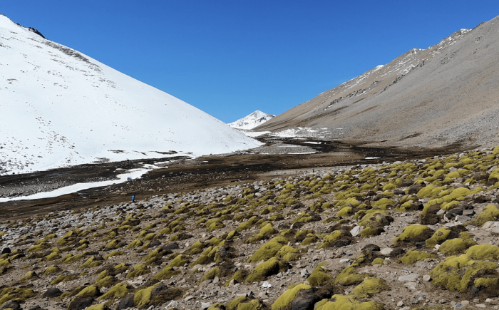 14 mil hectáreas de Monte Patria serán declaradas Santuario de la Naturaleza
