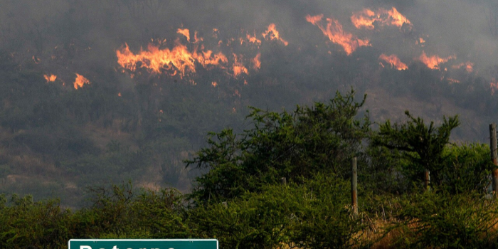 Onemi decreta Alerta Roja para regiones de O’Higgins y Valparaíso por incendios forestales