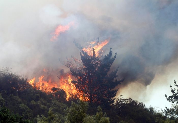 Balance de la Onemi por incendios forestales: nueve siniestros activos y 52 controlados