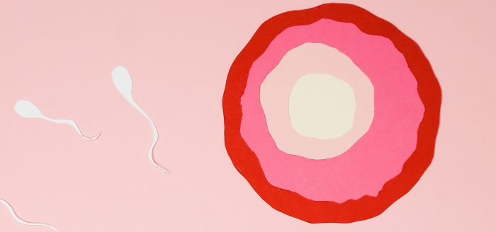 Fecundación in vitro: la alternativa contra la infertilidad luego de un tratamiento de cáncer