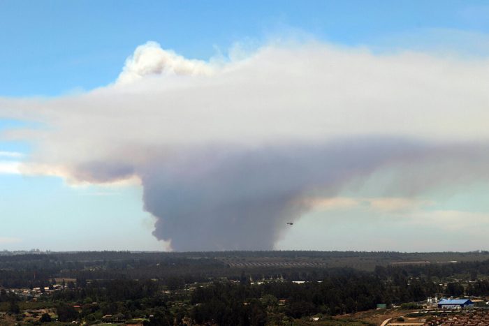 Decretan alerta roja para Santo Domingo por incendio forestal: Onemi pide evacuar cuatro sectores