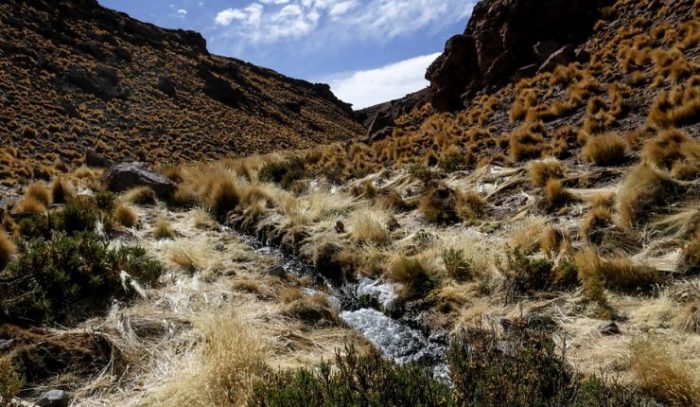 Punto para Chile: CIJ de La Haya declara que el Silala es «un curso de agua internacional» e insta a las partes a cooperar