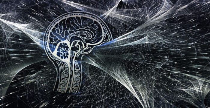 El «cerebro cuántico», la audaz teoría que puede ayudar a resolver el misterio de cómo surge la conciencia humana