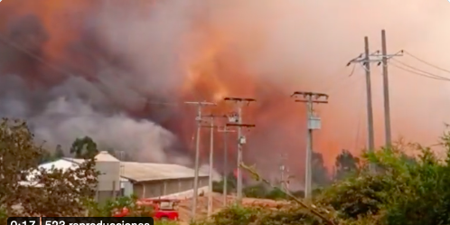 Alerta Roja para Chiguayante y Hualqui en el Biobío y para San Pedro en la RM, por incendios forestales en combate