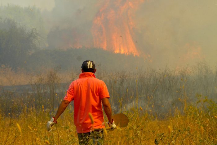 Riesgo de incendios forestales en la Provincia de Concepción sería mayor a 60%