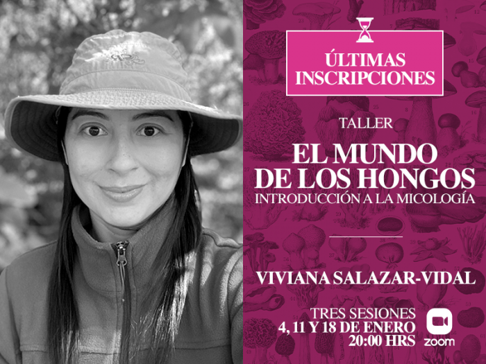 Taller online «El Mundo de los Hongos»