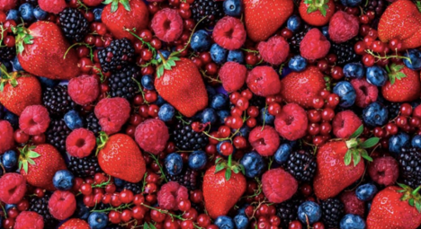 La operación Hortifrut: berries en todo el mundo todos los días