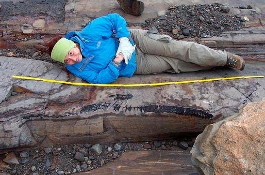 Judith Pardo, experta en reptiles marinos del Cretácico: «La ictiosauria descubierta en Chile es la más completa»