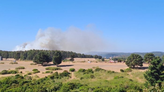 Senapred declara Alerta Roja en Talcahuano por incendio forestal