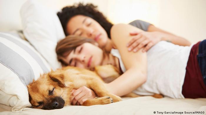 Compartir cama con perros podría ser peligroso en invierno, advierten expertos