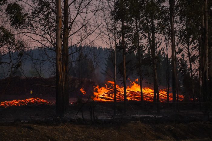 Tres sujetos generaron incendio en fundo Miraflores en región de La Araucanía