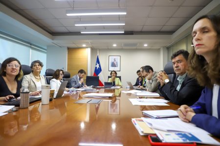 Comité de Ministros recurre al TC por fallo que ordena votar nuevamente proyecto Dominga