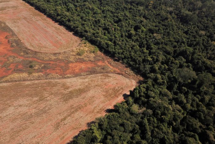 Noruega dice que el fondo para reducir la deforestación amazónica en Brasil vuelve a funcionar