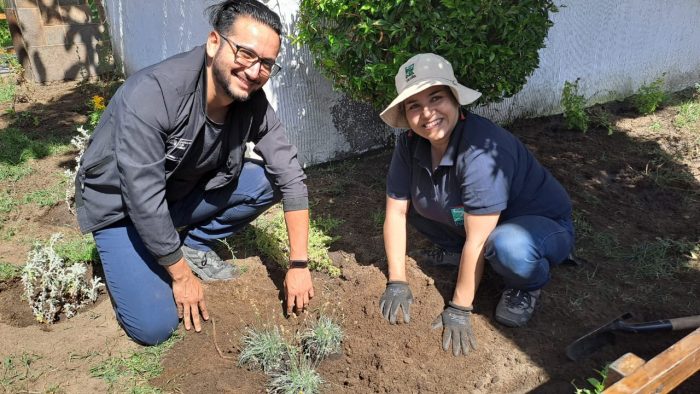 Implementan jardines urbanos demostrativos para la conservación de flora costera endémica en la Región de Antofagasta