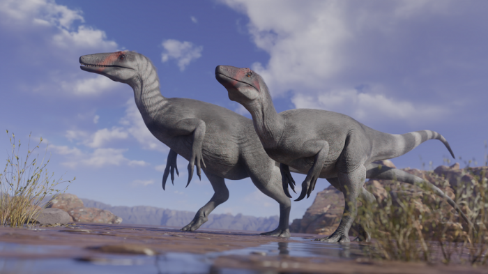 Megarraptores habrían dominado comunidad de dinosaurios carnívoros que habitaron la Patagonia chilena hace más de 70 millones de años