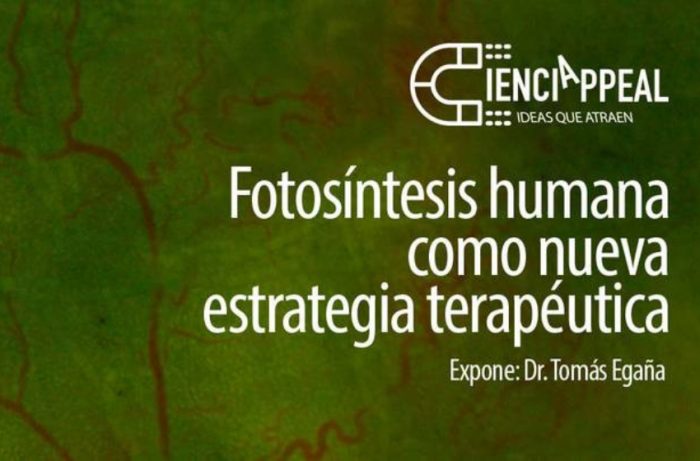 Científico Tomás Egaña expondrá su trabajo sobre crear una piel fotosintética