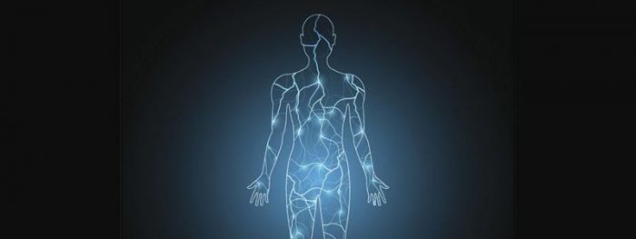 Qué es el “electroma”, la red bioeléctrica del cuerpo humano que puede revolucionar el tratamiento del cáncer y de las heridas