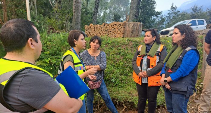 Ministra de Bienes Nacionales por incendios en Los Ríos: “Es necesario que estemos en una disposición de alerta y prevención”