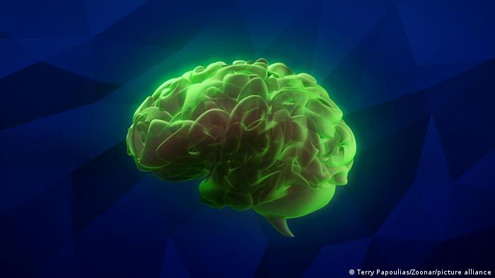 Científicos chinos informan de primer caso de Alzheimer en un joven de 19 años