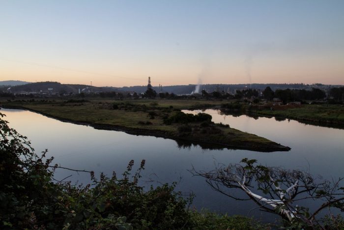 Humedales de la Región de Valparaíso: atractivos naturales que contribuyen al paisaje, turismo y recreación