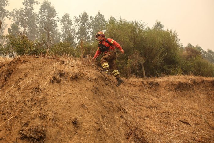 Gobierno confirmó muerte de brigadista forestal que combatía incendios en la zona centro sur