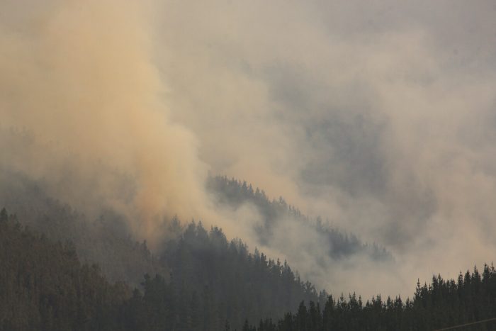 Senapred ordena evacuación en distintos puntos de Coronel por avance de incendios forestales