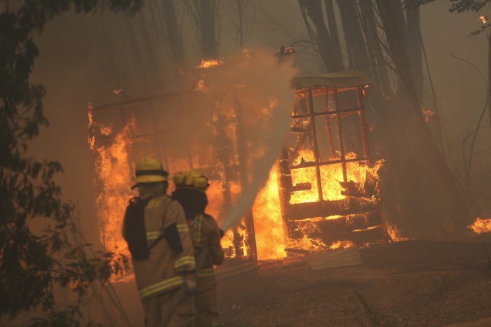 Incendios forestales: ordenan evacuar el área urbana de Ninhue por toxicidad de humo y amenaza de fuego