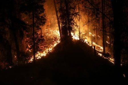 Conaf reporta 41% de intencionalidad en incendios forestales ya investigados en regiones del Biobío y La Araucanía