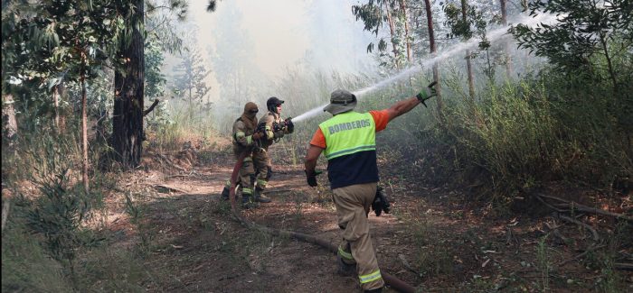 Senapred decreta alerta temprana preventiva en diversas comunas de Valparaíso por riesgo de incendios forestales 