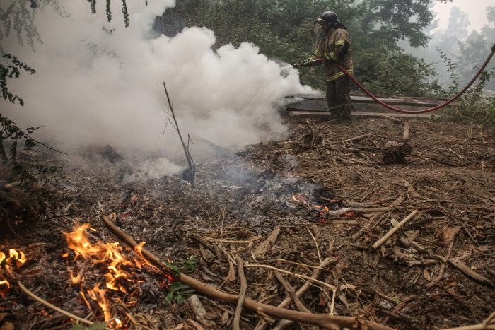 Senapred declara alerta roja para Corral y Valdivia por incendio forestal de “comportamiento extremo”