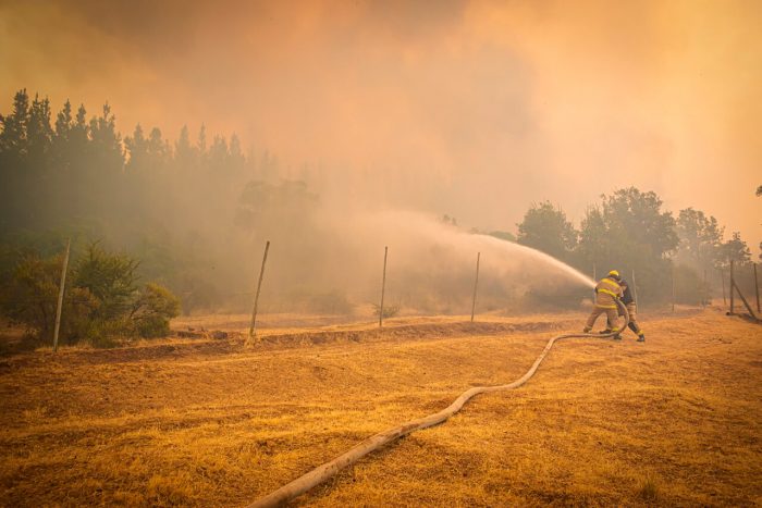Alerta amarilla en Melipilla: incendio forestal consume 100 hectáreas
