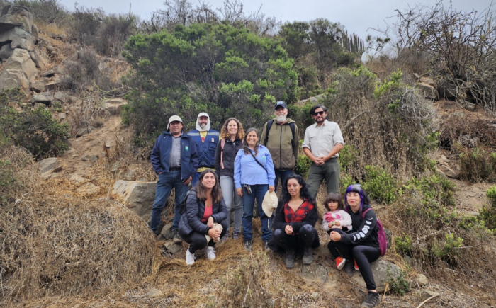 Realizan importante hallazgo de arbusto en peligro de extinción en el país