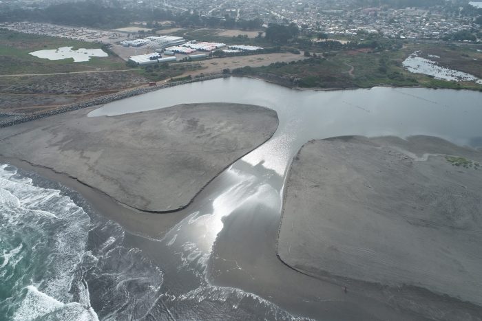Chile necesita una protección efectiva de los humedales costeros