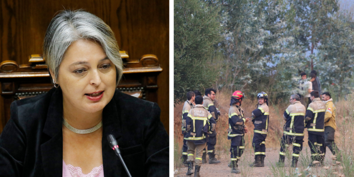 Ministra Jara confirma fiscalizaciones ante eventuales despidos a voluntarios de Bomberos que participan en el combate de incendios forestales