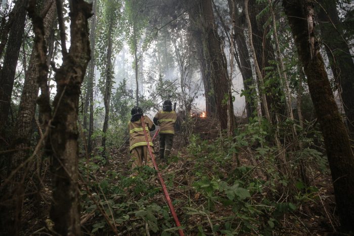 Incendios forestales han dejado 26 fallecidos, mientras Chile recibe ayuda internacional
