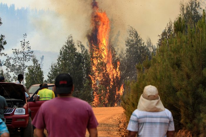 Gobierno informa sobre 82 incendios forestales en combate y rectifica cifra de fallecidos: son 24