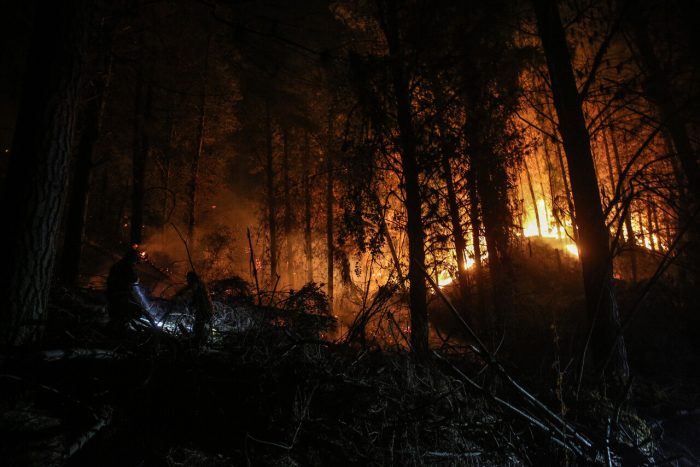 Senapred reporta 89 incendios en combate y 336 mil hectáreas afectadas